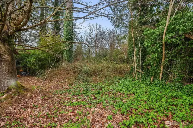 Property access