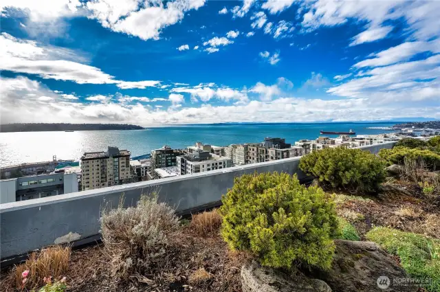 Breathtaking views from the rooftop garden.