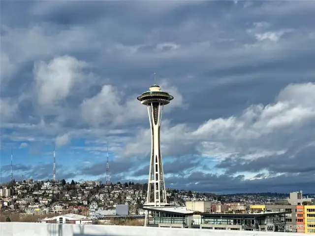 Yes, even a Space Needle view from the rooftop garden deck, stunning!