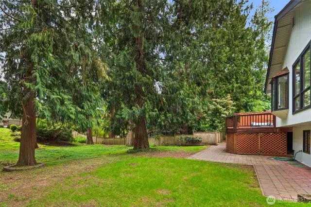 There is plenty of room to enjoy the back yard greenery and shade trees, and a lovely ground level shaded brick patio and walk-way wraps around the side of the home as well.