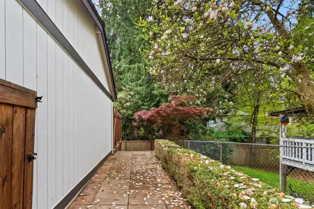 A cedar side gate opens to a lovely paved walk to your back yard.
