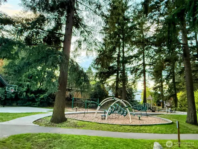 South Rose Hill Park offers a beautiful place to walk to, tranquil and shaded.