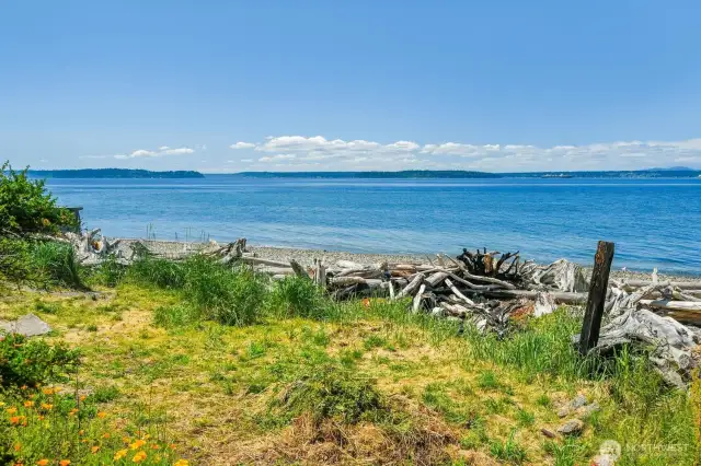 A second small beach is located 5 mins walk south along the water at Weather Watch Park, directly across the street from West Seattle's best Italian restaurant, La Rustica.