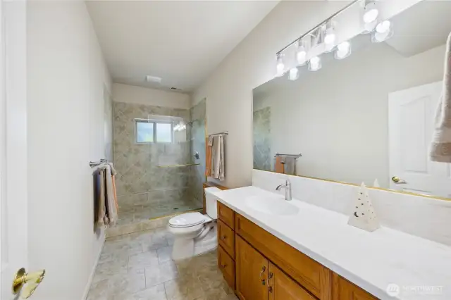 Lower-Level Guest Bathroom.  Lots of room, huge shower and new toilet and countertops.