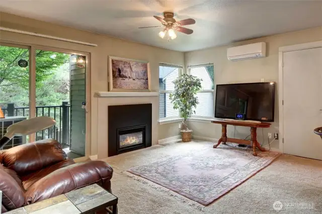 Ductless Mini Split provides cooling and heating throughout