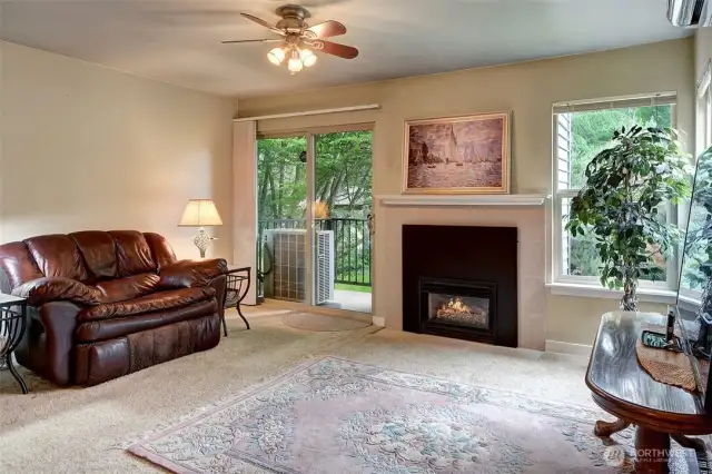 Gas fireplace for those cozy evenings
