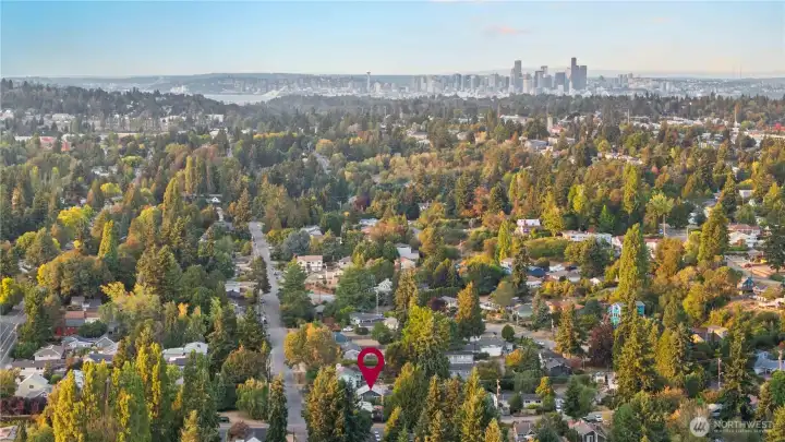 Ariel View- Seattle Downtown in background