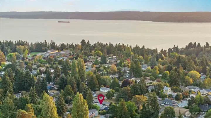 Ariel View-Across the Puget Sound