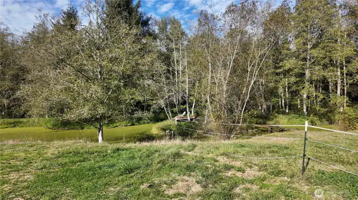 Pasture is fenced and cross fenced. View of the pond.