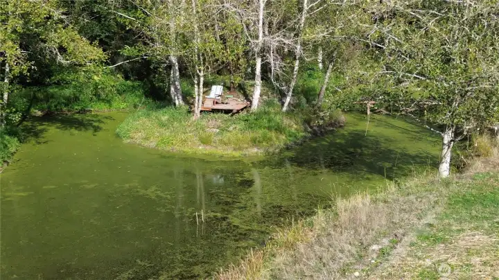 Year round pond with a tranquil island for watching the ducks, frogs and other animals that frequent the pond.