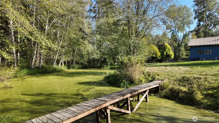 Wooden bridge leads to the island. Another view of the pond.