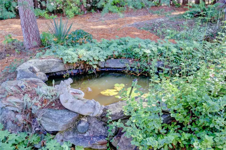 Water feature is located in the side yard near the home. View from the dining room.
