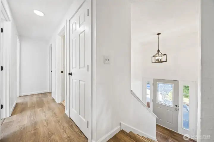 Freshly installed flooring with durable luxury vinyl plank and plush carpet.