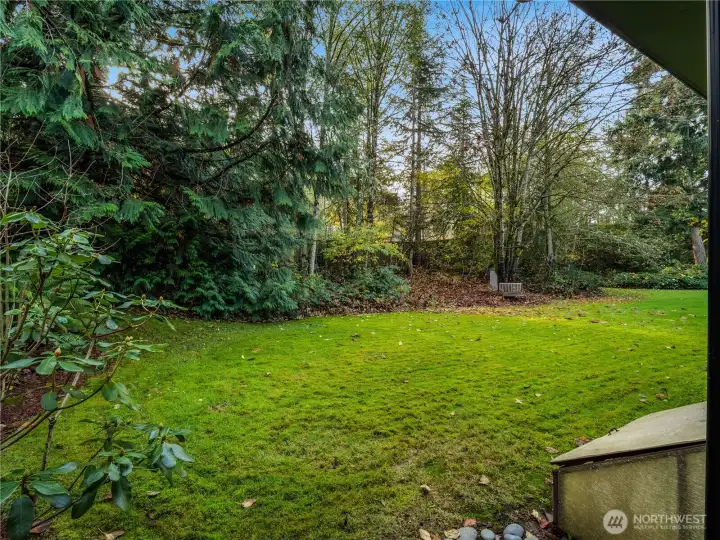 This house sits in a lovely wooded surrounding