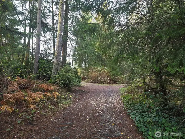 Cushman Powerline Trail at entrance