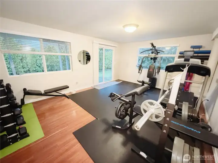 Downstairs bonus room with backyard access