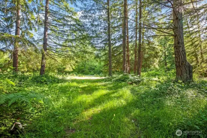 Can you see your home built here, memories being made, lots of love and laughter abounding