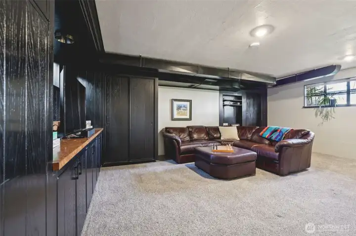 Lower level family room