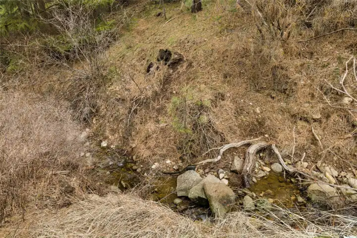 Seasonal creek. Confirmed NOT a fish bearing stream.