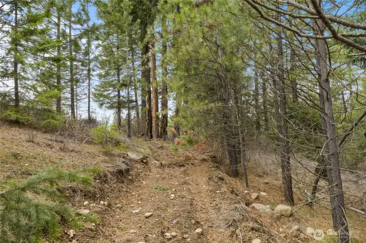 Some roughed in trails on the property.