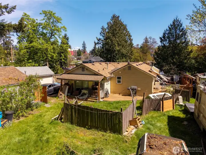 Backyard 3