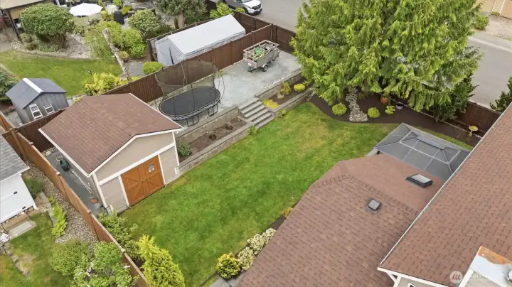 beautiful yard with mature Blueberry bushes