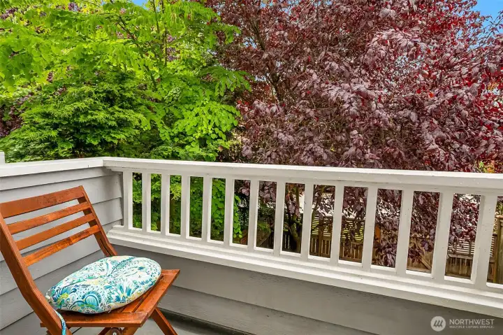 Enjoy bird watching from your balcony!