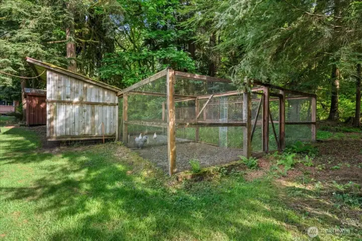 Chicken coop and enclosed run provide flexible outdoor utility space with a natural wooded backdrop. Chicken coop and enclosed run provide flexible outdoor utility space with a natural wooded backdrop.