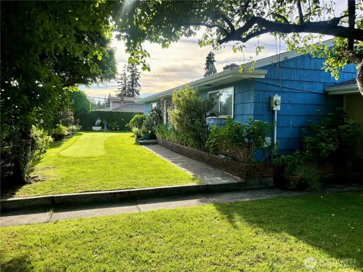 Front Yard