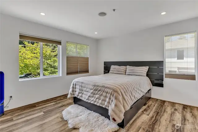 Large and bright Primary Bedroom with walk-in closet