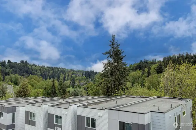 View from neighboring unit - lot 24