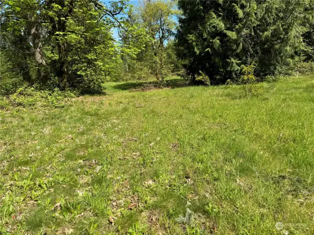 Spring photo of the 2nd meadow not mowed.