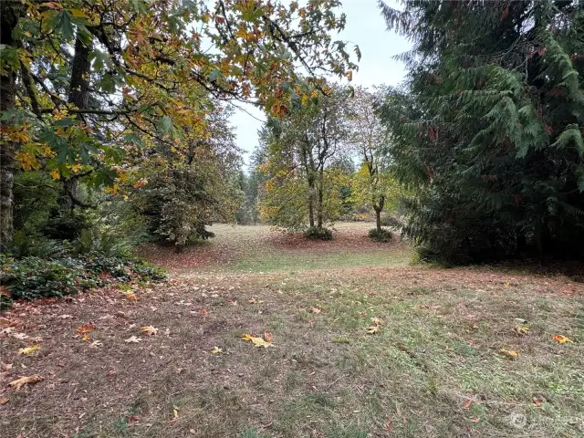 2nd meadow going on to the 3rd meadow