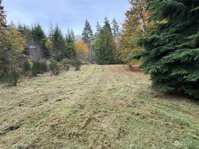 Upper part of property and 3rd Meadow