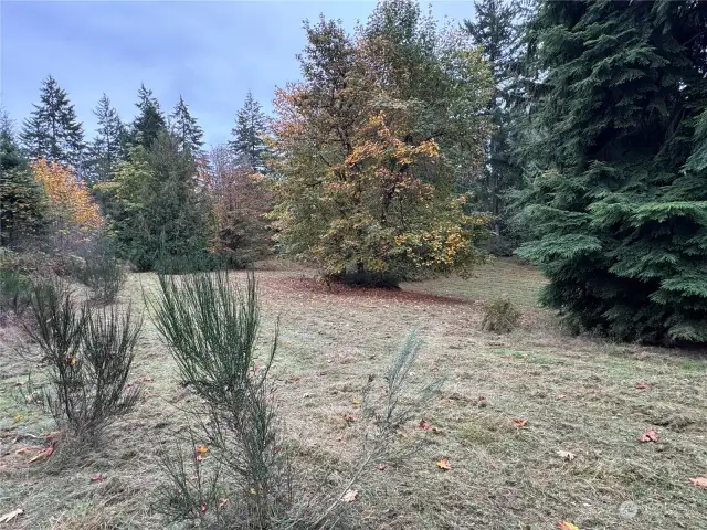 3rd Meadow and upper property boundary on the left