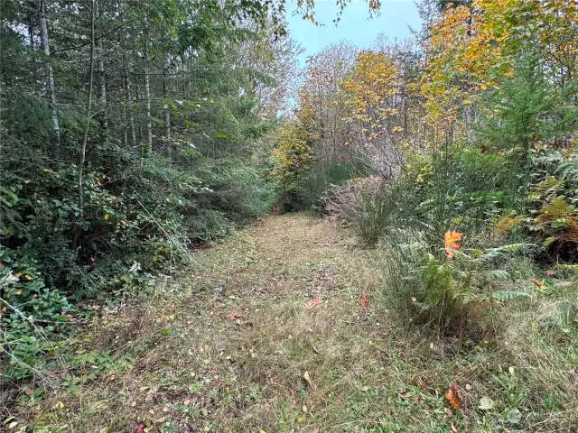 Trail to 4th meadow it's not far