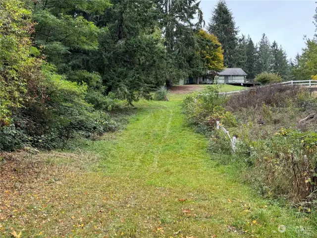 Stay to the left at the top of this green path