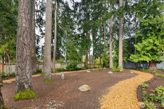 Community park