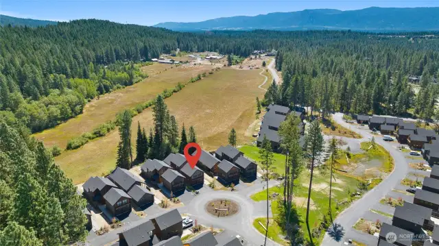 Aerial view of neighborhood