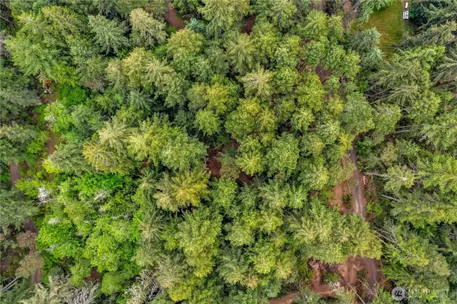 Lot 2 aerial