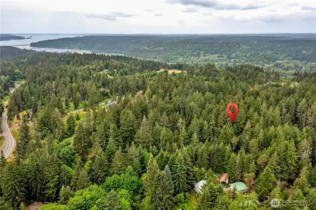 Aerial