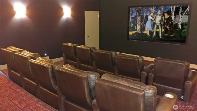 Theatre Amenity