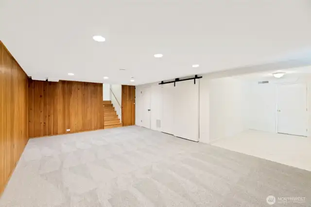 Large rec-room