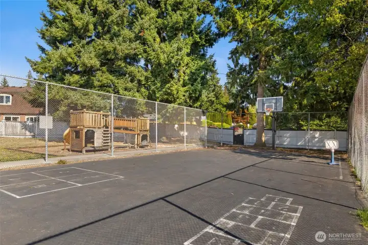 Community sport court