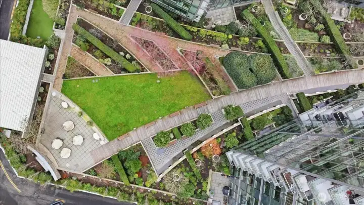 Birdview of the urban garden with fire places and BBQ grill
