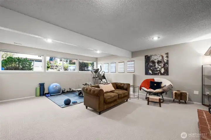 Lower level flex space