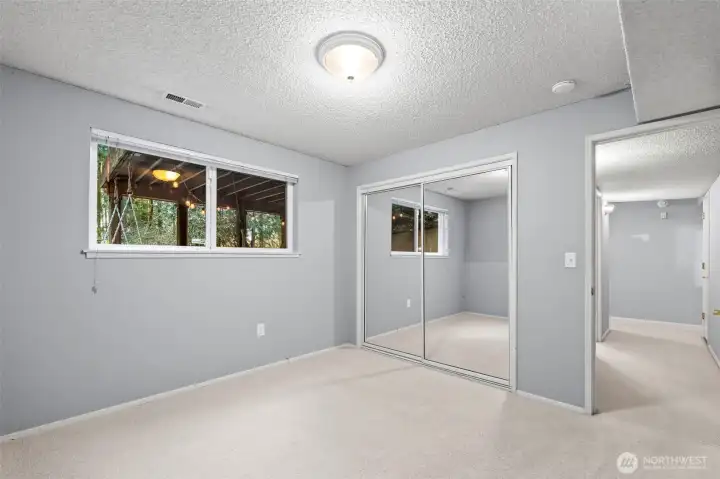 Lower Level Bedroom #4