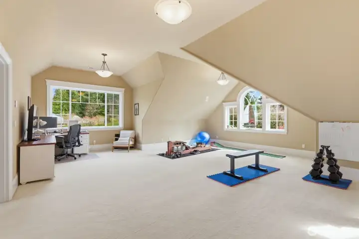 Accessed off the office or up the rear staircase you’ll find the bonus room; a light and bright space for a myriad of pursuits.