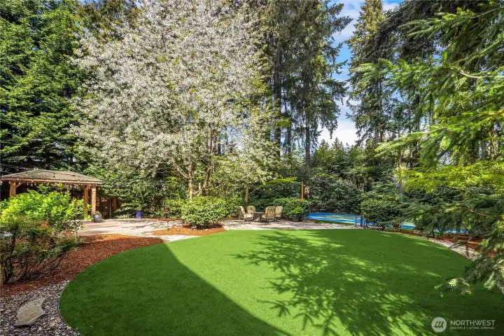 Turf backyard