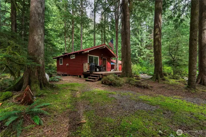 A peaceful cabin tucked away deep in the forest outside of Index.